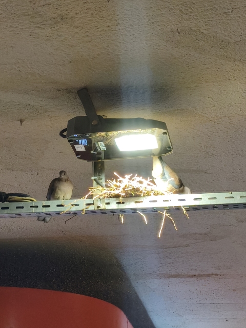 Vegan İskenderun Usulü Döner Dürüm Menü